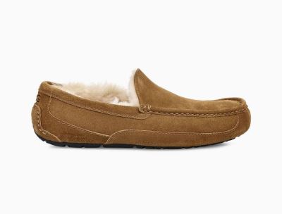 UGG Ascot Mens Slippers Chestnut/ Brown - AU 187LT
